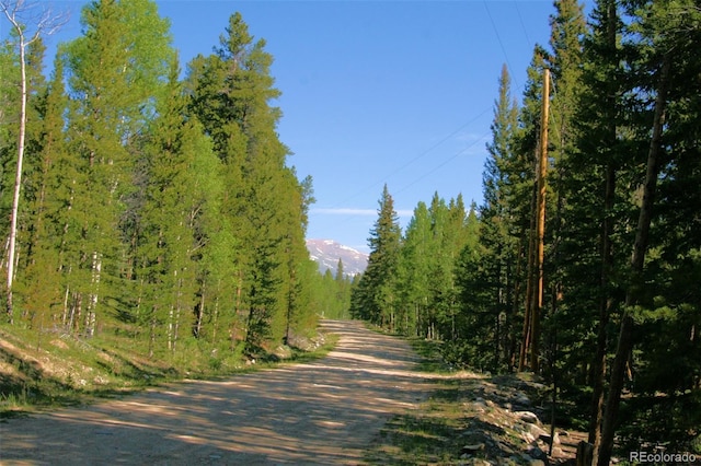 Kens Rd, Fairplay, CO 80440 - photo 3