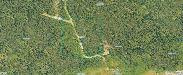 Kens Rd, Fairplay, CO 80440 - photo 4