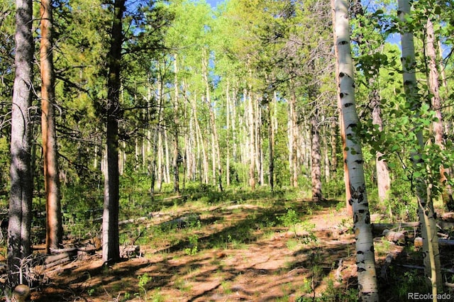 Kens Rd, Fairplay, CO 80440 - photo 7