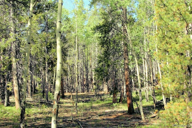 Kens Rd, Fairplay, CO 80440 - photo 17