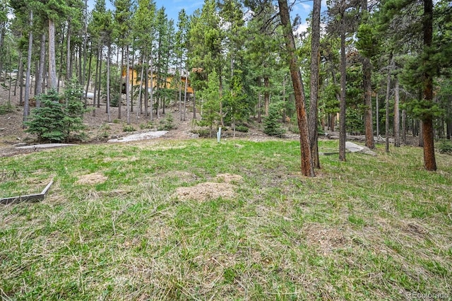 1673 Sinton Rd, Evergreen, CO 80439 - view of yard