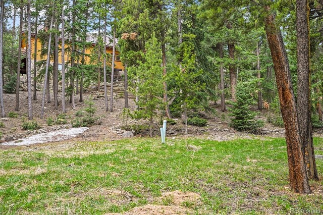 1673 Sinton Rd, Evergreen, CO 80439 - view of yard