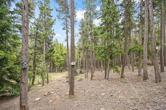 1673 Sinton Rd, Evergreen, CO 80439 - view of nature