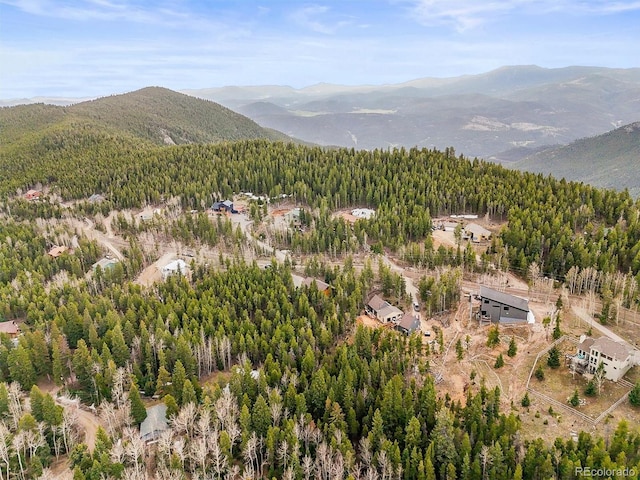 1673 Sinton Rd, Evergreen, CO 80439 - view of mountain backdrop with a heavily wooded area