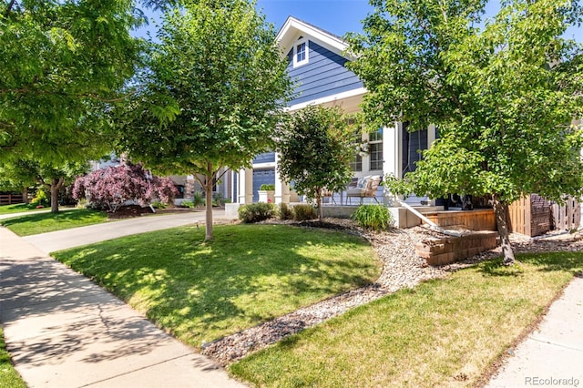 1038 Mircos St, Erie, CO 80516 - view of property hidden behind natural elements with a front yard