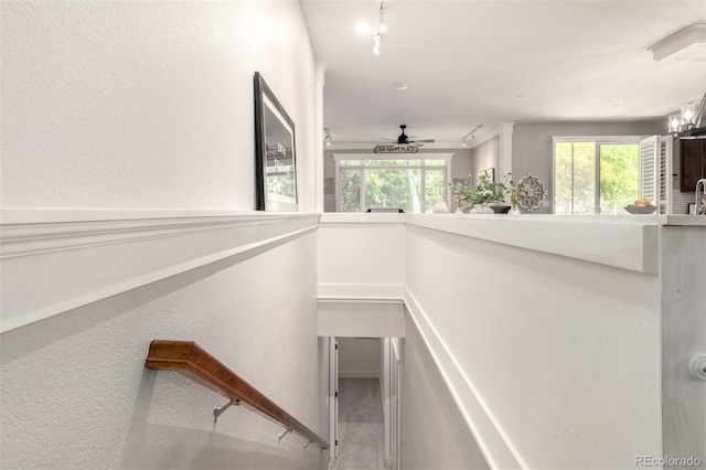 1038 Mircos St, Erie, CO 80516 - staircase with plenty of natural light and ceiling fan