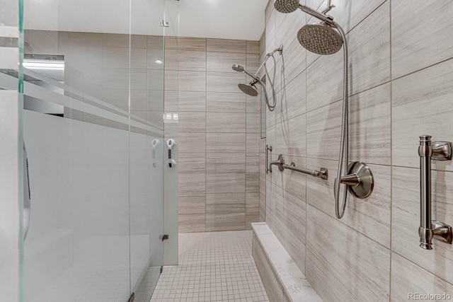 788 Alumroot St, Castle Rock, CO 80104 - full bath with a stall shower and tile patterned floors