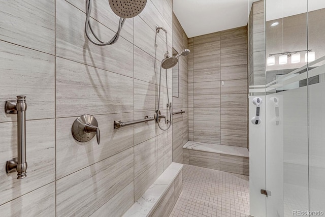 788 Alumroot St, Castle Rock, CO 80104 - full bathroom with a stall shower and tile patterned flooring