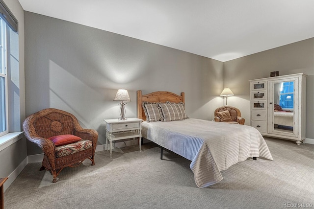 788 Alumroot St, Castle Rock, CO 80104 - bedroom with carpet flooring and baseboards