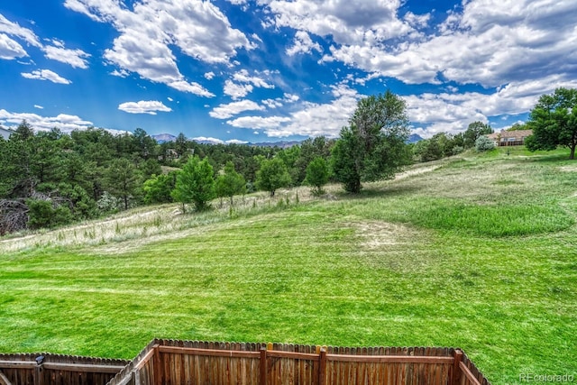 458 Rolling Hills Dr, Colorado Springs, CO 80919 - view of yard