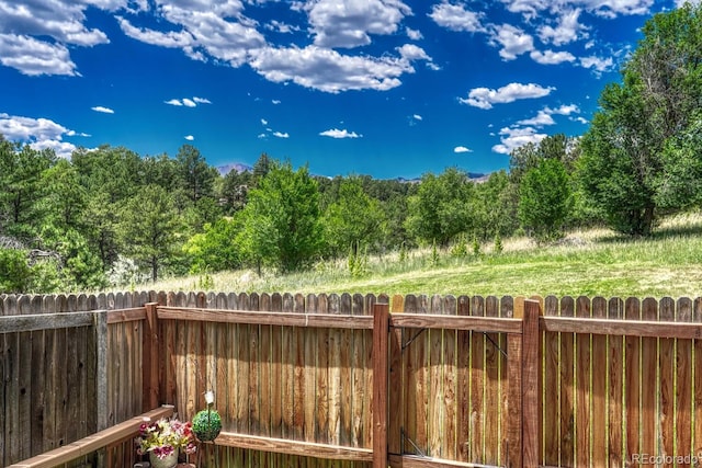 458 Rolling Hills Dr, Colorado Springs, CO 80919 - view of yard featuring a view of trees