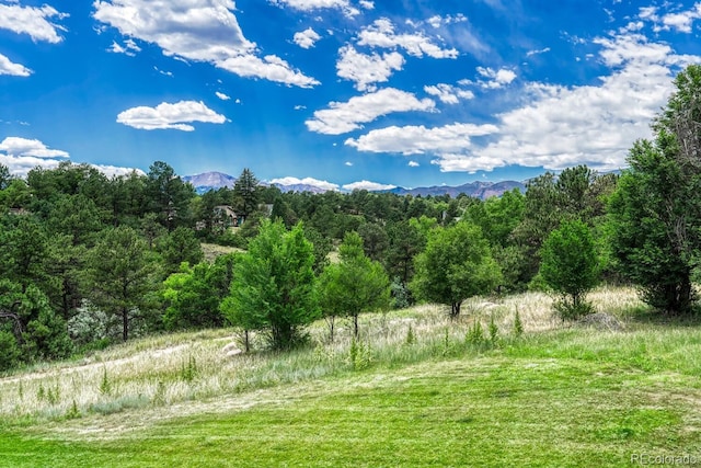 458 Rolling Hills Dr, Colorado Springs, CO 80919 - view of mountain backdrop featuring a forest