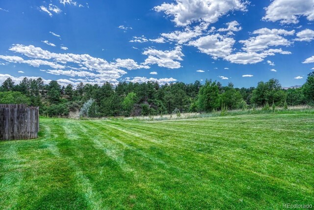 458 Rolling Hills Dr, Colorado Springs, CO 80919 - view of yard