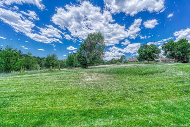 458 Rolling Hills Dr, Colorado Springs, CO 80919 - view of grassy yard with a view of rural / pastoral area