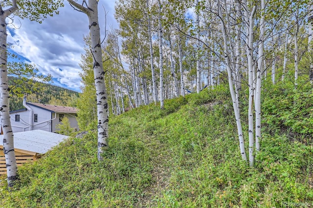 1170 Apex Valley Rd, Black Hawk, CO 80422 - photo 28