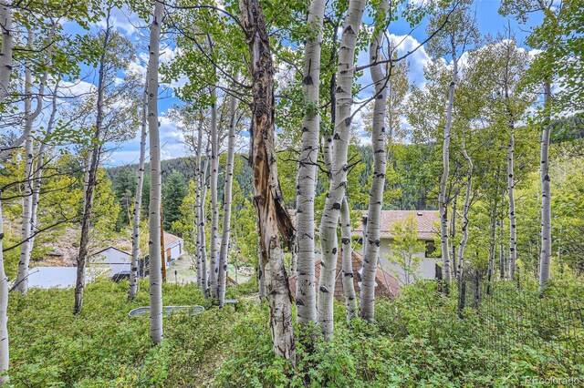 1170 Apex Valley Rd, Black Hawk, CO 80422 - photo 30