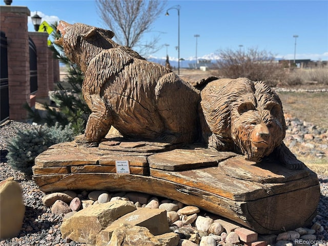 7220 Dolores Ave, Frederick, CO 80530 - view of details
