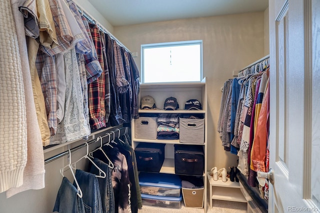 3779 Aspen Hollow Ct, Castle Rock, CO 80104 - walk in closet with carpet flooring