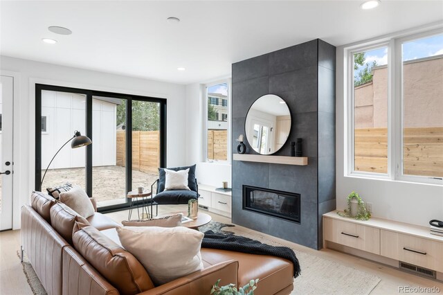 living room with light hardwood / wood-style floors, a fireplace, and plenty of natural light