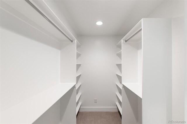 spacious closet with carpet