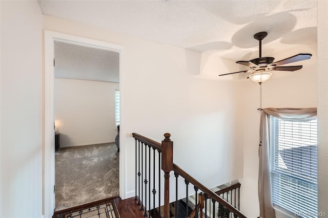 8156 Carr Cir, Arvada, CO 80005 - hallway with an upstairs landing, plenty of natural light, a textured ceiling, and dark wood finished floors