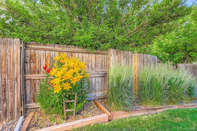 8156 Carr Cir, Arvada, CO 80005 - view of yard