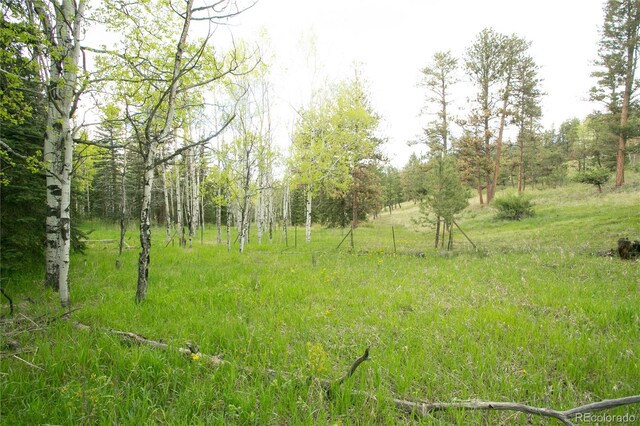 29055 S Sunset Trl, Conifer, CO 80433 - photo 12