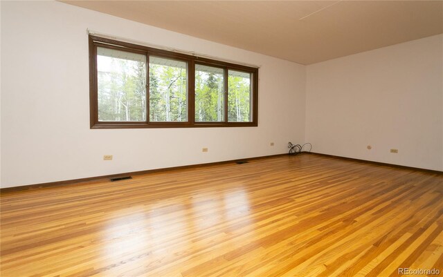 29055 S Sunset Trl, Conifer, CO 80433 - photo 19
