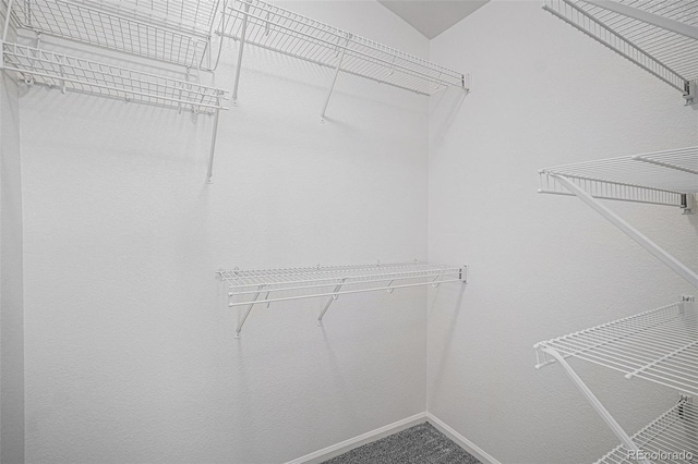 4305 Brookwood Dr, Highlands Ranch, CO 80130 - photo 16