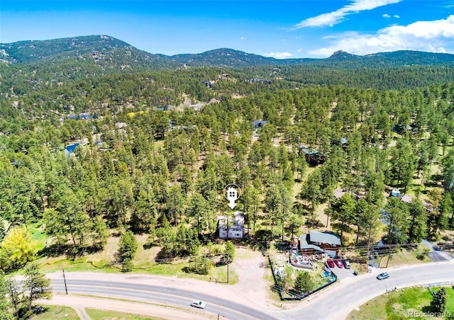 28958 Buffalo Park Rd, Evergreen, CO 80439 - bird's eye view of a mountain backdrop