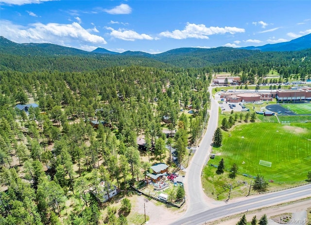 28958 Buffalo Park Rd, Evergreen, CO 80439 - drone / aerial view of a forest and a mountain backdrop