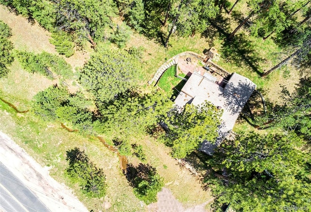 28958 Buffalo Park Rd, Evergreen, CO 80439 - view from above of property