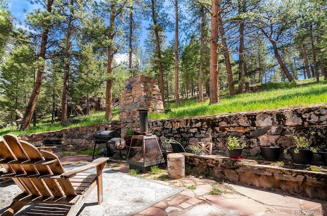 28958 Buffalo Park Rd, Evergreen, CO 80439 - view of patio / terrace featuring area for grilling