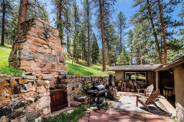 28958 Buffalo Park Rd, Evergreen, CO 80439 - view of patio with area for grilling
