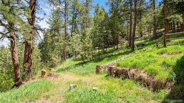 28958 Buffalo Park Rd, Evergreen, CO 80439 - view of yard with a wooded view