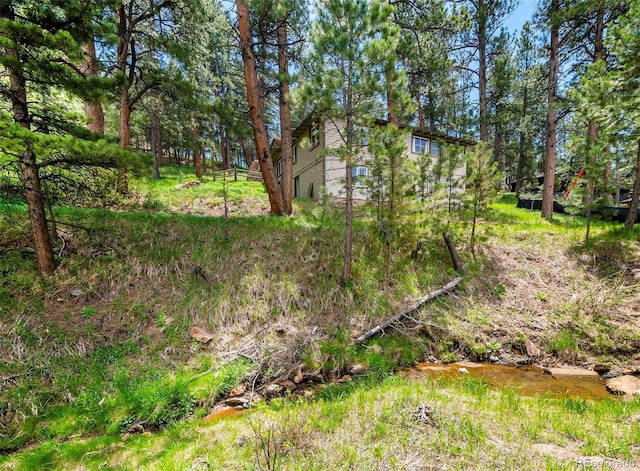 28958 Buffalo Park Rd, Evergreen, CO 80439 - view of yard
