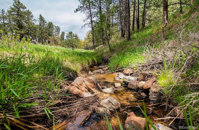 28958 Buffalo Park Rd, Evergreen, CO 80439 - view of undeveloped land