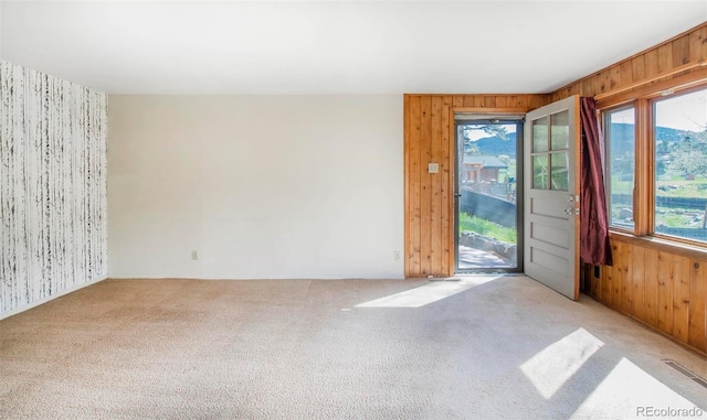 28958 Buffalo Park Rd, Evergreen, CO 80439 - spare room with wood walls and carpet floors