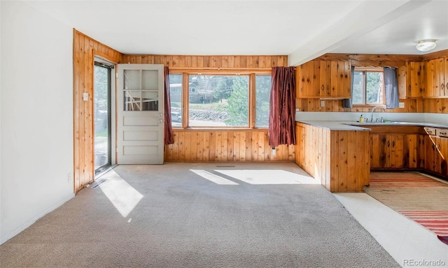 28958 Buffalo Park Rd, Evergreen, CO 80439 - kitchen with wood walls, light countertops, brown cabinetry, and light colored carpet