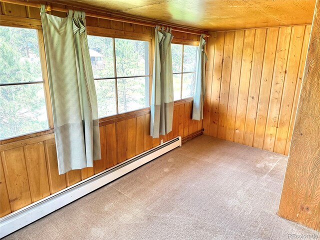 28958 Buffalo Park Rd, Evergreen, CO 80439 - carpeted spare room featuring baseboard heating, wood walls, and plenty of natural light