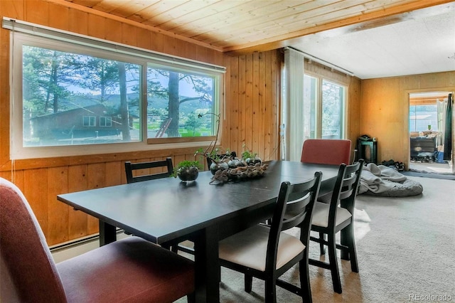 28958 Buffalo Park Rd, Evergreen, CO 80439 - dining space featuring wood walls, plenty of natural light, carpet flooring, wooden ceiling, and baseboard heating