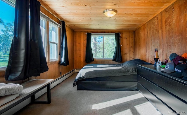 28958 Buffalo Park Rd, Evergreen, CO 80439 - carpeted bedroom with wood ceiling and wood walls