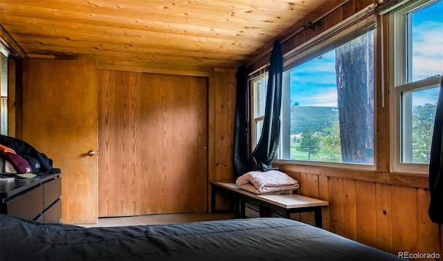 28958 Buffalo Park Rd, Evergreen, CO 80439 - bedroom with wood ceiling, wood walls, and multiple windows
