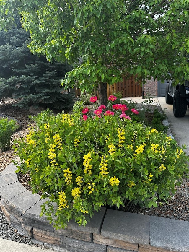 26155 E Euclid Dr, Aurora, CO 80016 - exterior view