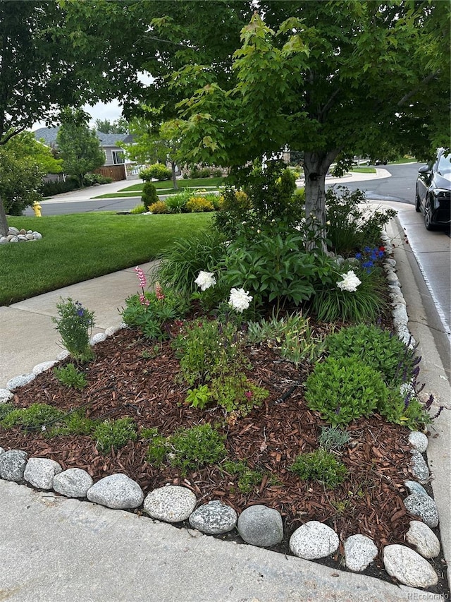 26155 E Euclid Dr, Aurora, CO 80016 - view of green lawn