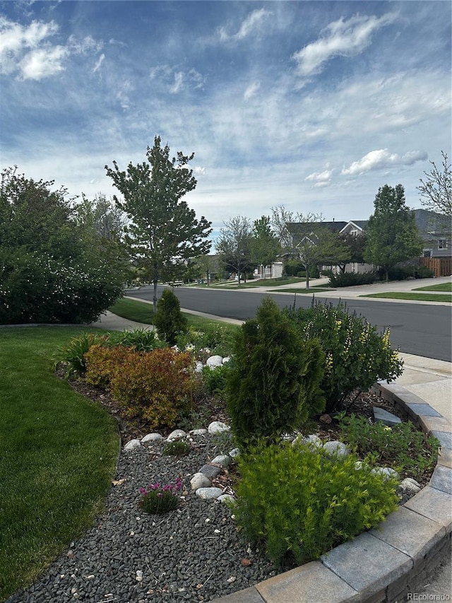 26155 E Euclid Dr, Aurora, CO 80016 - view of grassy yard