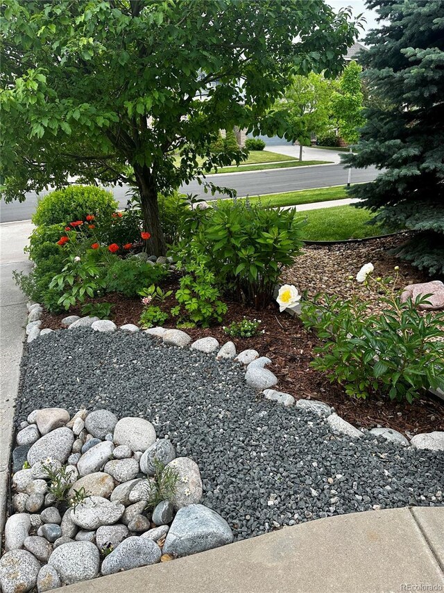 26155 E Euclid Dr, Aurora, CO 80016 - photo 29