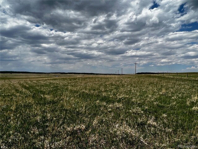 11970 Woodridge Ter, Colorado Springs, CO 80908 - photo 9