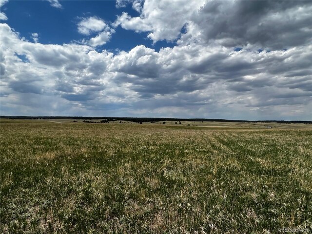 11970 Woodridge Ter, Colorado Springs, CO 80908 - photo 10