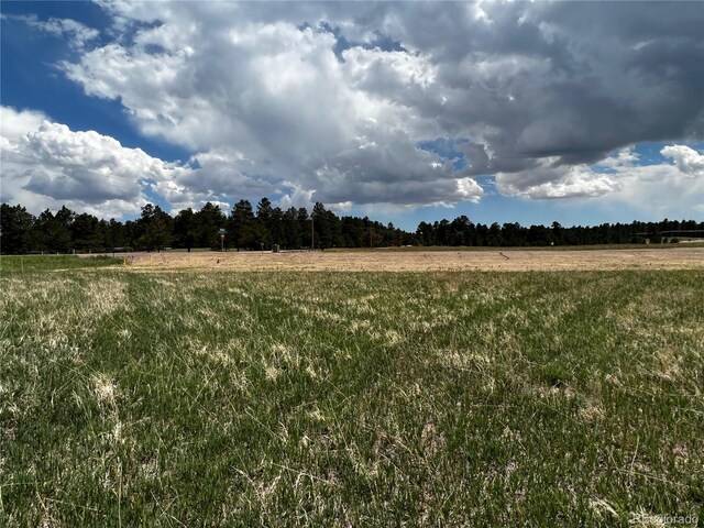 11970 Woodridge Ter, Colorado Springs, CO 80908 - photo 15